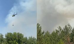 Karabük’teki yangına Taşköprü ekibi de müdahale ediyor