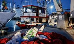 Kastamonu Açıklarında 142 Kalkan Balığı Ele Geçti