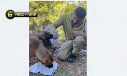 Kastamonulu ekipten Alanya'da yürek ısıtan görüntüler (görüntülü haber)