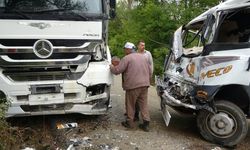 Kastamonu’da Feci Kamyon Kazası: Detaylar Geldi! (görüntülü haber)