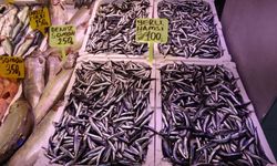 Kastamonulularda 100 Liraya hamsi yiyebilecek mi?