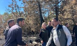 Kastamonu Orman Bölge Müdürü'nden ekiplere övgü!
