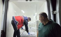 Kastamonu sahilinde hamsi bereketi: Tam 2 bin 970 kilo yakalandı!