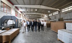 Kastamonu Valisi Dallı ilçede incelemelerde bulundu