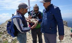 Kastamonu'da 2 bin 587 rakımlı dağın tepesinde deniz fosilleri bulundu