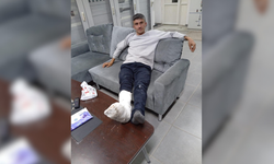 Kastamonu'da 34 yaşındaki işçi çam ağacının devrilmesi sonucu yaralandı