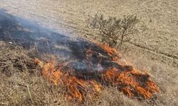 Kastamonu’da Anız Yangını Korkuttu: Hızlı Müdahaleyle Felaket Önlendi