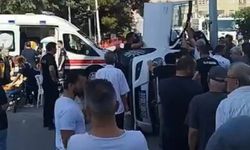 Kastamonu’da feci kaza: Arı panik yarattı, 2 kişi yaralandı