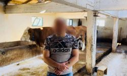 Kastamonu’da Hayvancılık Projesiyle Yeni Bir Hayata Adım