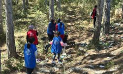 Kastamonu'da öğrenciler ormanlık alanları temizledi