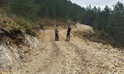 Kastamonu'da orman yolu tamamlandı