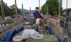 Kastamonu’da yangın söndürüldü, tahliye edilen köylüler evlerine kavuştu