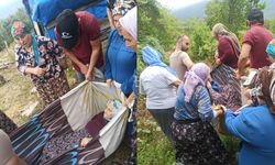 Kastamonu’da yol yaşlı kadına engel olmuştu: Muhtardan açıklama geldi