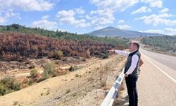 Kastamonu’daki yangın alanları fidanlarla yeniden hayat bulacak
