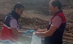 Kastamonu’nun ilçesinde balık ölümleri inceleme altında