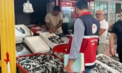 Kastamonu’nun ilçesinde balık tezgahları ve av bayileri denetlendi