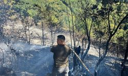 Kastamonu'nun ilçesinde çıkan yangın söndürüldü