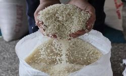 Kastamonu'nun ilçesinin coğrafi işaretli pirinci satışa sunuldu