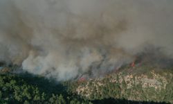 Kuvvetli rüzgar enerjisini artırdı: Kastamonu'daki feci orman yangını sürüyor