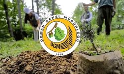 OGM daimi işçi alacak: Kastamonu'ya da kadro var!