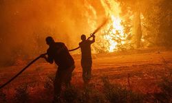 Kastamonu Üniversitesi, 'Orman Yangını Risk Haritası' oluşturacak