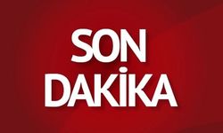 Son dakika: Taşköprü yolunda 3 hayvan telef oldu