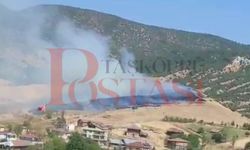 Son dakika…Taşköprü’de yine anız yangını: Ekipler bölgede!