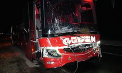 Taşköprü yolunda 3 hayvanın telef olduğu kazada detaylar belli oldu