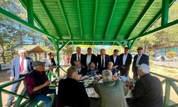 Kastamonu’da Asırlık Çınarlar 'Sonbahar Pikniği'nde Buluştu