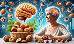 B12’den Omega-3’e: Eksikliği Beyin Yaşlanmasını Tetikleyen Besinler