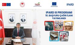 Kastamonulu çiftçide yararlanacak: Tam 188 Milyon Avro
