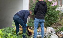 Boş arazide battaniye bulundu, ölü sandılar!