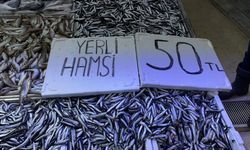 Fiyatlar yarı yarıya düştü, hamsiseverler akın etti!