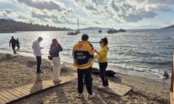Facia da 14 ölü: Cansız bedenleri sahile vurdu!
