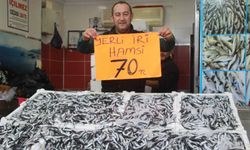 Hamsi 70 liraya düştü, vatandaş çiğ çiğ yedi!