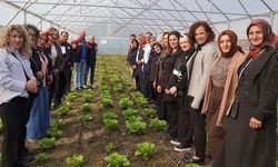 Hanönü'de Dünya Kadın Çiftçiler Günü Coşkusu: Kadın Emeği Üretimle Buluştu