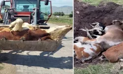 Bu görüntüler bir daha yaşanmasın: Kastamonu'da toplantı yapıldı