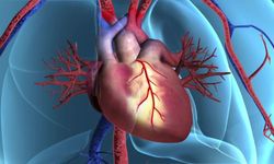 Kalbi tehdit ediyor! Kalp yetmezliğini yüzde 56 artırıyor: Uyumadan önce bunu yapmayın!
