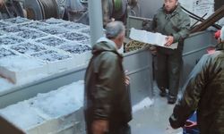 Kastamonu sahilinde 22 gemiyle 440 ton yakaladılar!