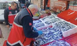 Kastamonu’da Balık Satış Noktaları Kontrol Altında
