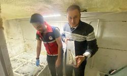 Kastamonu’da Balıkçıların Yüzü Güldü: 2 Ton Mezgit Karaya Çıkarıldı