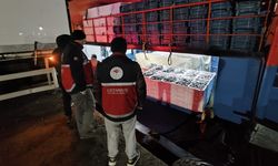 Kastamonu’da Hamsi Avcılığı Denetimleri 7/24 Sürüyor