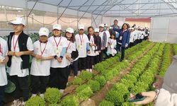 Kastamonu'da kamp gerçekleştirildi, Taşköprü'deki sera da ziyaret edildi