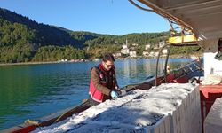 Kastamonu'da Tonlarca Hamsi Denetimden Geçti