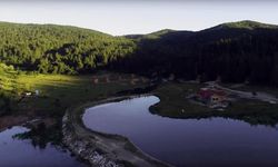 Kastamonu'nun bu yaylası serin havasıyla büyülüyor