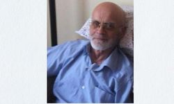 Hollanda’dan Kastamonu’ya acı haber