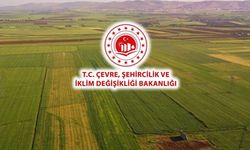 Kastamonu’da Milli Emlak’tan Uygun Fiyatlı Arsa Fırsatı!