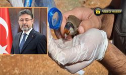 Kastamonulu Bakan Yumaklı'dan güzel haber: Özgürlüklerine kavuştular