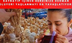 Taşköprü'den tüm Türkiye'ye yayılıyor: Kaynatıp içen kış boyu hasta olmuyor!