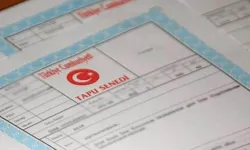 Tapunuzda Bu Yazıyorsa Dikkat: Küçük Detay, Yatırımınızı Etkileyebilir